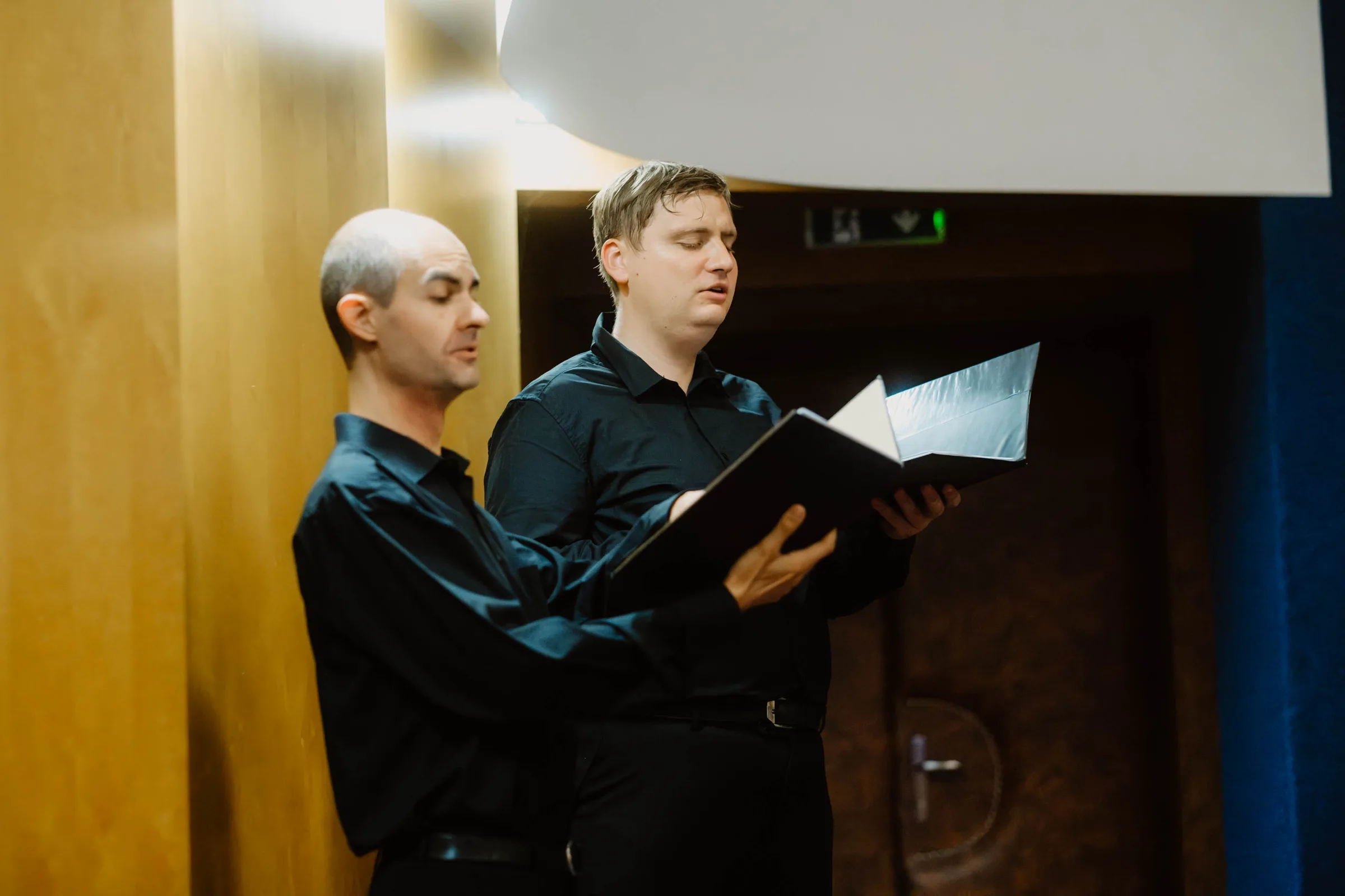 22. ročník MVF Zdeňka Pololáníka (3. koncert)