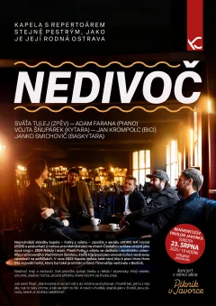 NEDIVOČ