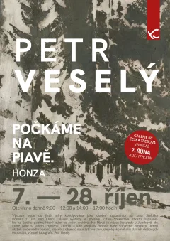 Petr Veselý: Počkáme Na Piavě. Honza
