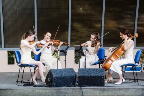 Senoritas Strings
