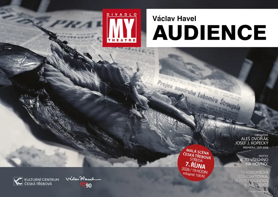 Divadlo MY THEATRE — Václav Havel: AUDIENCE