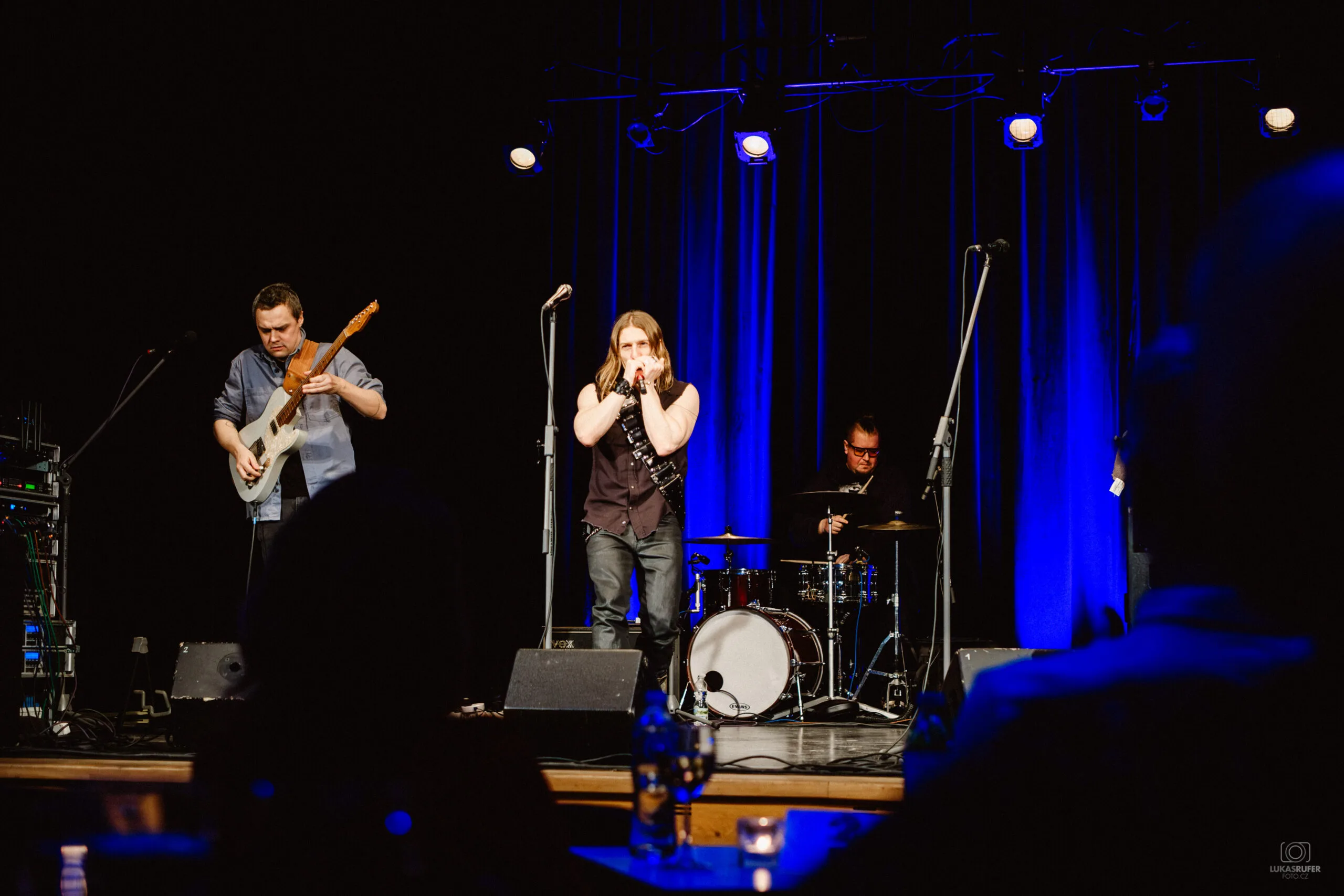 21_WILL WILDE & THE BLADDERSTONES_LRT39231